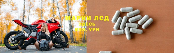 ГАЛЛЮЦИНОГЕННЫЕ ГРИБЫ Баксан