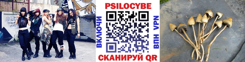 Псилоцибиновые грибы прущие грибы Шарья
