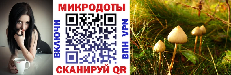 Галлюциногенные грибы ЛСД  даркнет сайт  Шарья 